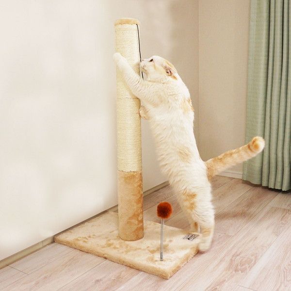 ネコロン 楽天市場】【全品ポイント2倍 〜9/30】 大型 猫トイレ TALL WALL