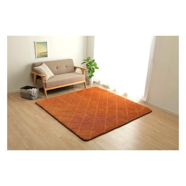 �C�P�q�R�E�R�[�|���[�V���� 1290970204201 �O�����hAZ ��1.5���p 130×185 OR �I�����W [�J�[�y�b�g]