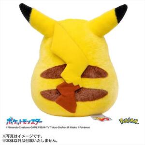 タカラトミー ポケモン30周年記念 おかえり!ピカチュウ1/1 | 激安の