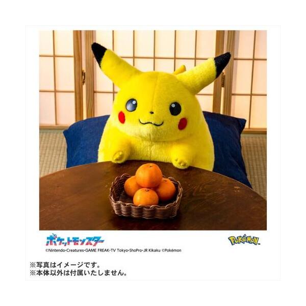 タカラトミー ポケモン30周年記念 おかえり!ピカチュウ1/1 | 激安の