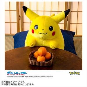 タカラトミー ポケモン30周年記念 おかえり!ピカチュウ1/1 | 激安の