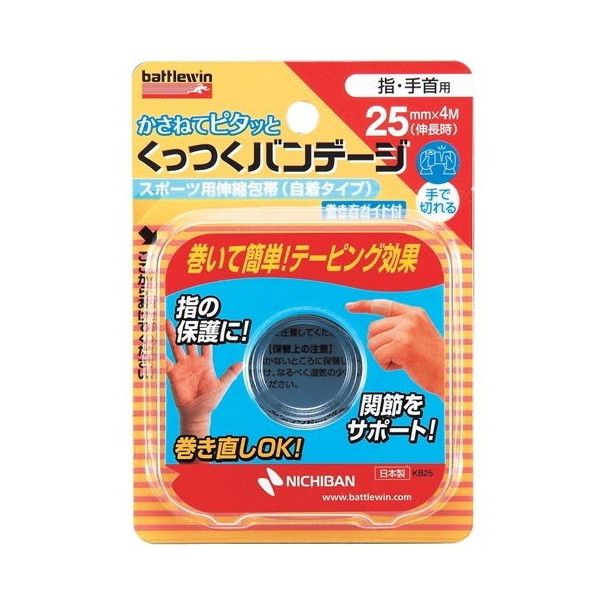 NICHIBAN KB25F BW �������o���f�[�W