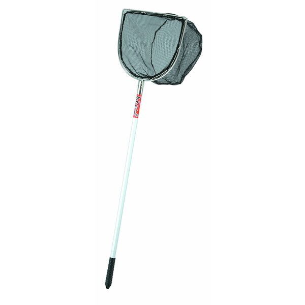 G[ ^tlbg ^36cm