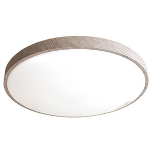 シーリングライト