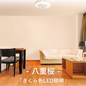 SHARP FP-AT3-W ホワイト系 天井空清 [LEDシーリングライト一体型空気