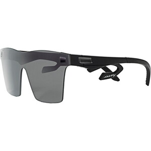 SWANS スワンズ マルチスポーツ ER4-0170 CBR er-4 ULTRA LENS for