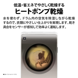 SHARP ES-V11B-NL アッシュゴールド [ドラム式洗濯乾燥機(洗濯