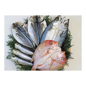 味紀行うち川 九州一夜干し 4種