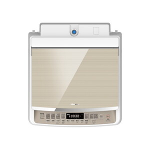 Hisense HW-DG100XH ホワイト/シャンパンゴールド [簡易乾燥機能付洗濯