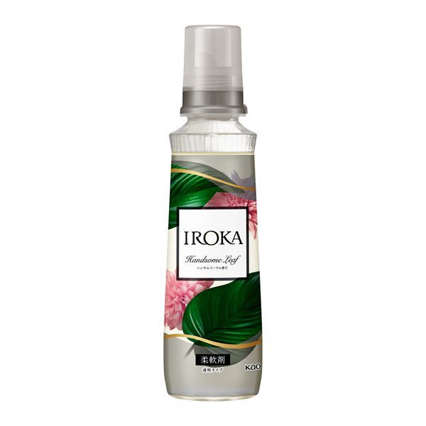 ԉ IROKA nT[t { 540ml