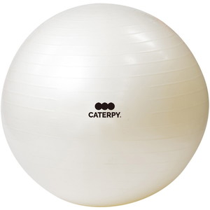 バランスボール