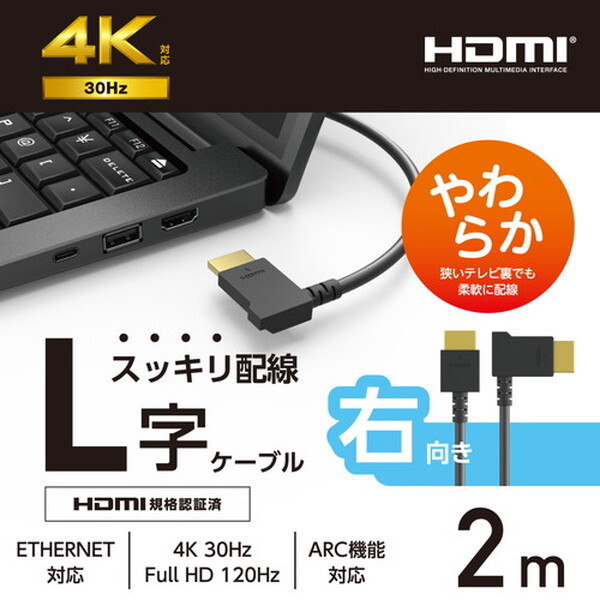 ELECOM CAC-HD14E10BK2 - その他