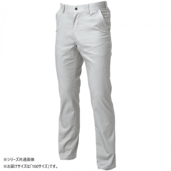 Ka 3048-09 XbNX 100TCY Vo[O[(22)