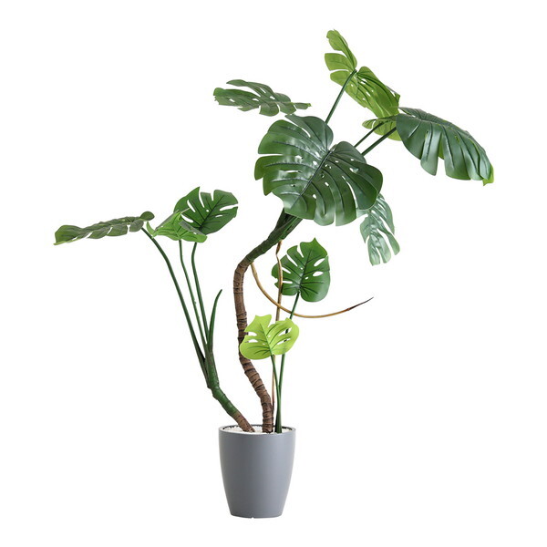 z[eCXg SH-06-MON-S ȒPtFCNO[ Xe STCY(120cm) O[