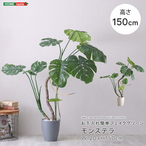 造花・人工観葉植物