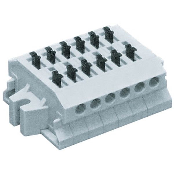 �T�g�[�p�[�c ML1700A6P �X�N�����[���X�[�q��