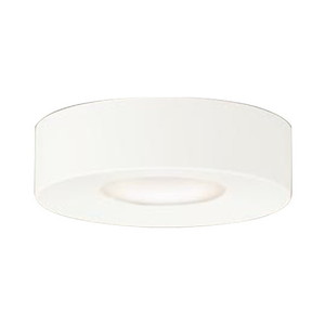 シーリングライト