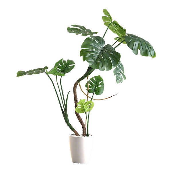 z[eCXg SH-06-MON-L ȒPtFCNO[ Xe LTCY(180cm) AC{[