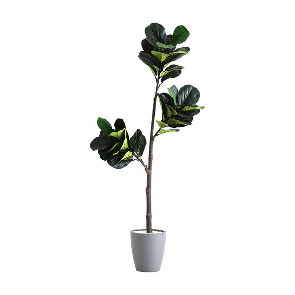 z[eCXg SH-06-FIC-M ȒPtFCNO[ tBJXE[^ MTCY(150cm) O[