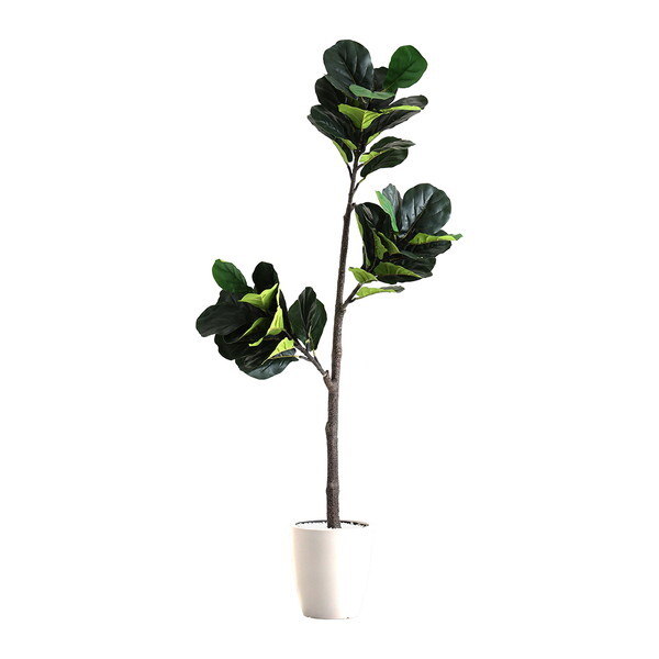 z[eCXg SH-06-FIC-L ȒPtFCNO[ tBJXE[^ LTCY(180cm) AC{[