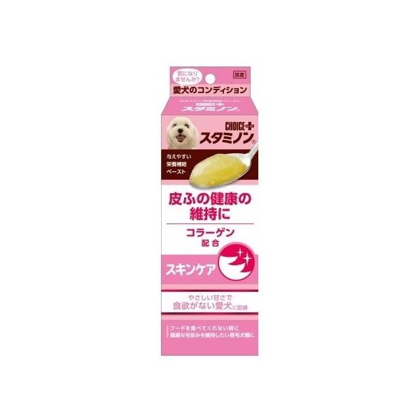 A[XEybg `CXvX X^~m ӃPA 40g