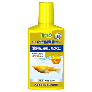 水槽・アクアリウム