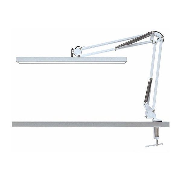 ^H TMTL-002WH zCg [LEDA[Cg]