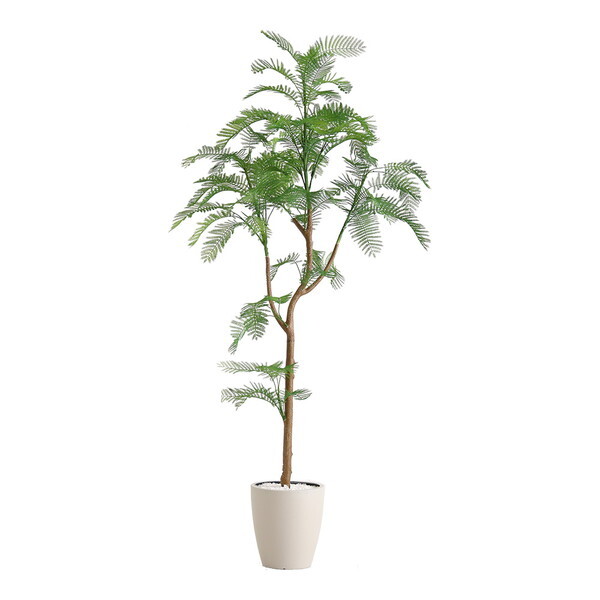 z[eCXg SH-06-EVE-S ȒPtFCNO[ Go[tbV STCY(120cm) AC{[