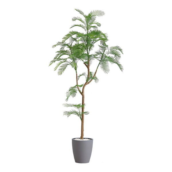 z[eCXg SH-06-EVE-S ȒPtFCNO[ Go[tbV STCY(120cm) O[