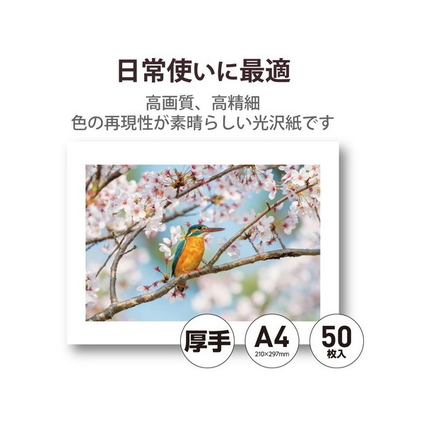 ソニー [UPP-110HG] カラービデオプリンタ用 光沢プリント用紙 (10個) - 3