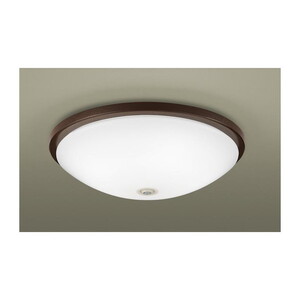 シーリングライト