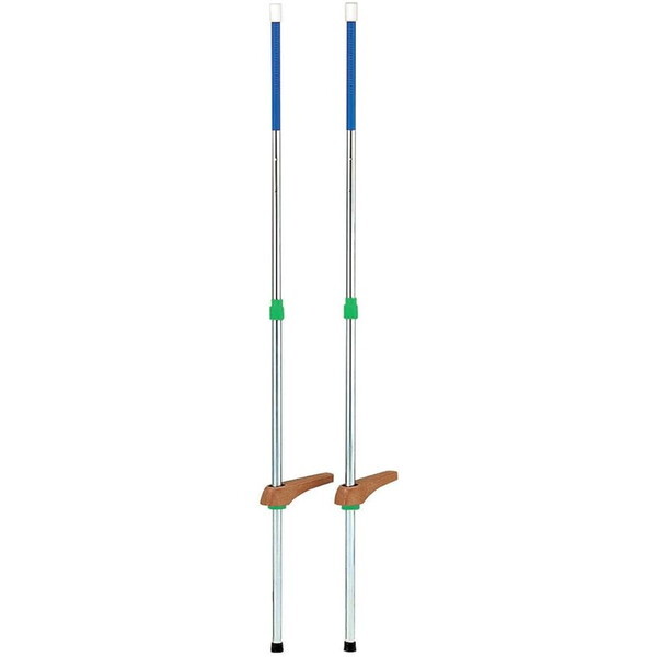 g[GCCg wZ̈ J[|nXCh185 u[ T2482B