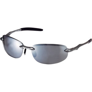 AirFly エアフライ AF-301-33WV AF301WV オプションレンズ 偏光グレー