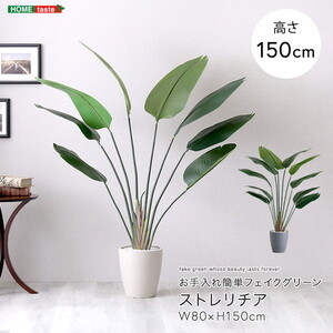 造花・人工観葉植物