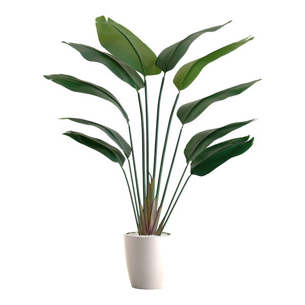 z[eCXg SH-06-STR-L ȒPtFCNO[ Xg`A LTCY(180cm) AC{[