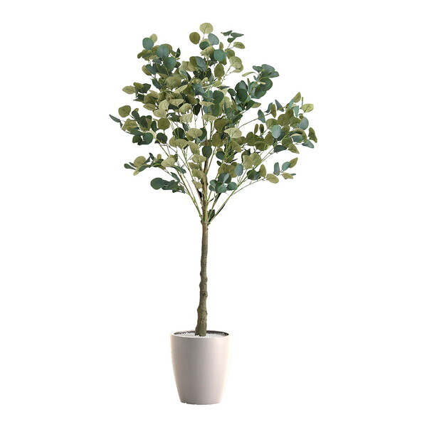 z[eCXg SH-06-EUC-S ȒPtFCNO[ [J STCY(120cm) AC{[