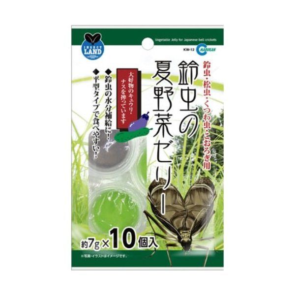 }J 钎̉Ė؃[[ 7g×10