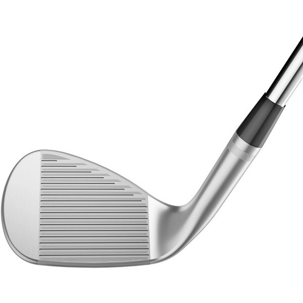 日本正規品】 タイトリスト SM10 TC(ツアークロム) ウェッジ 2024年
