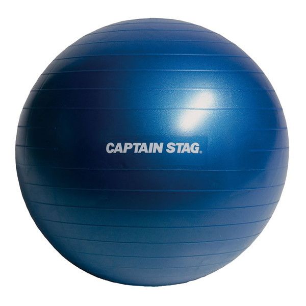 CAPTAIN STAG フィットネスボール φ55 ブルー UR-0860 Vit Fit
