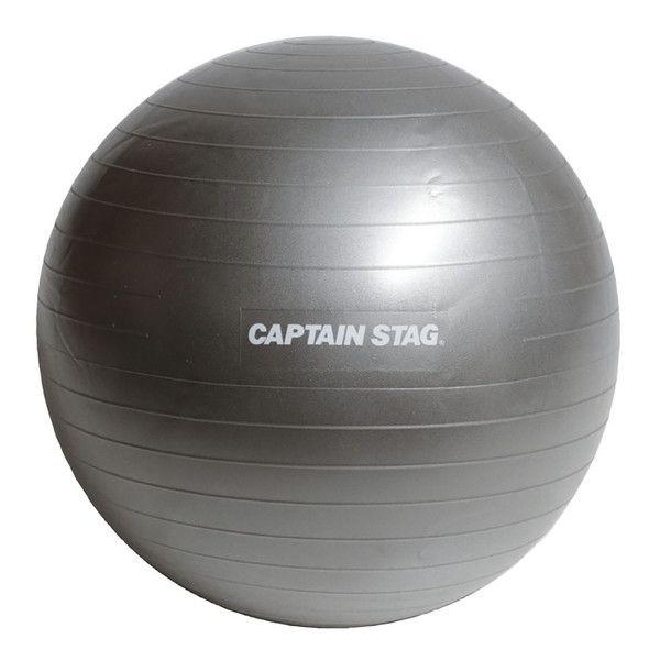 CAPTAIN STAG フィットネスボール φ55 シルバーホワイト UR-0861 Vit Fit