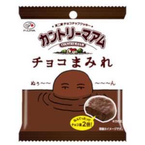 不二家 カントリーマアム チョコまみれ 48g ×10