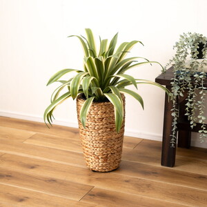 植木鉢・プランター