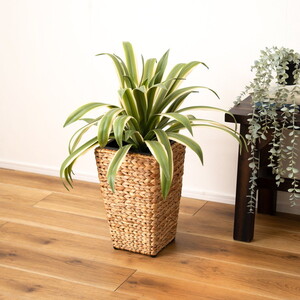 植木鉢・プランター