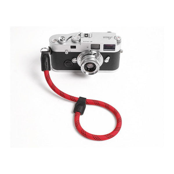 cam-in DWS-00113 bh×ubN [nhXgbv DWS-001V[Y (Ot^Cv)]