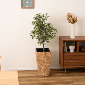 植木鉢・プランター