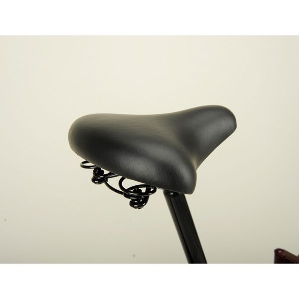 CAPTAIN STAG ラケット FDB206 (ダークレッド) [折り畳み自転車（20 