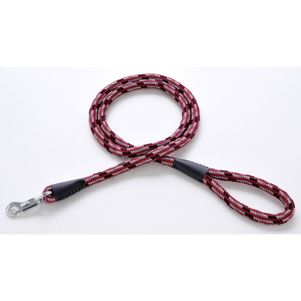 yeBI BASIC PLUS lIvX[h12 bh