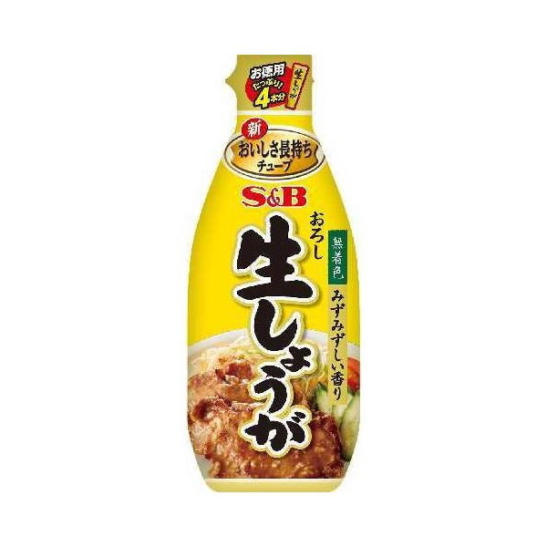 GXr[Hi S&B p 낵傤 160g ×10