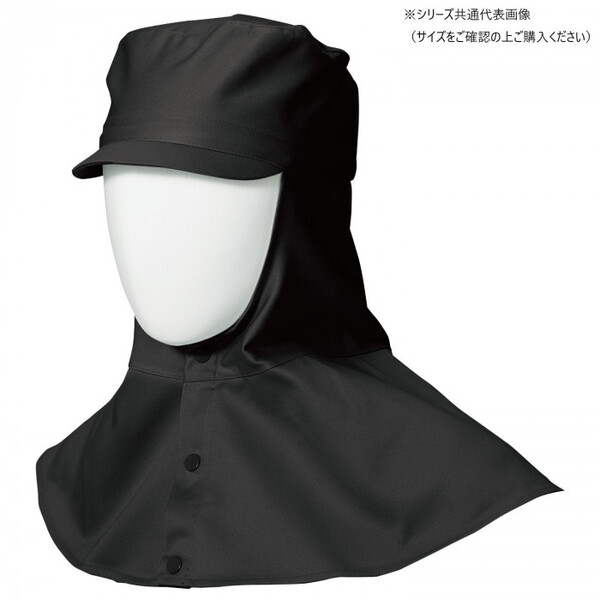 Ka 10016 nږXq MTCY ubN(4) SOWA