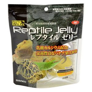 爬虫類・両生類用フード